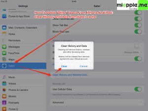iPad air other space_how to clear Safari cache