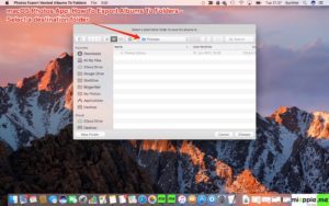 macOS Photos_Export Albums to Folders_01_select destination folder